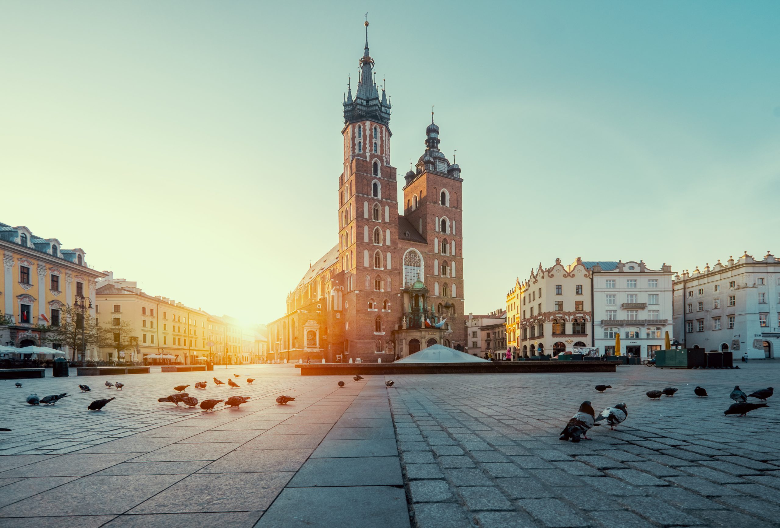 8 reasons why choose developers from Poland